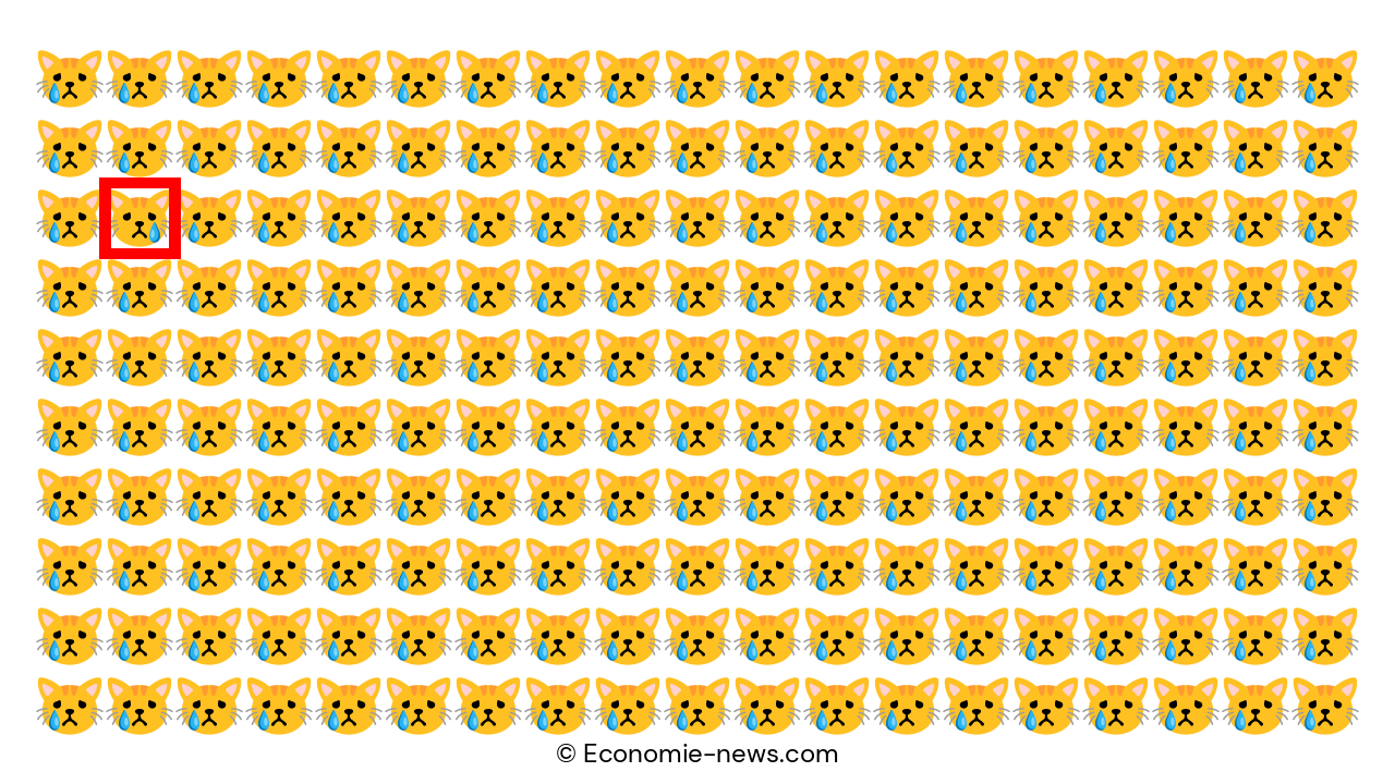 Félicitations si vous avez réussi à repérer le chat qui pleure !