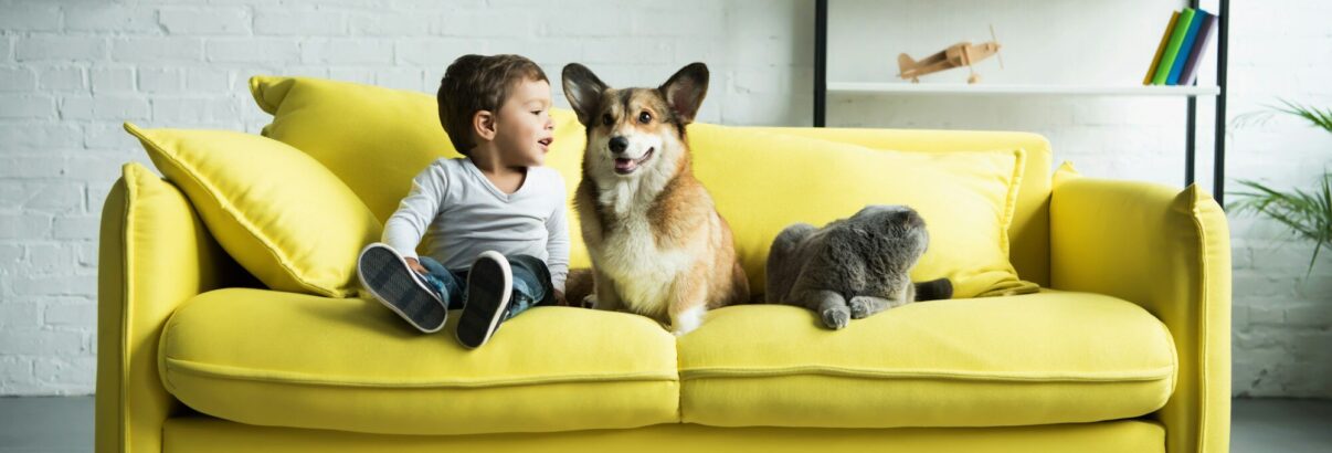 Les animaux de compagnie, bien plus que de simples mascottes !