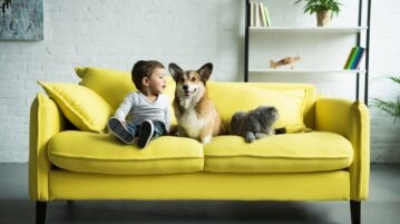 Les animaux de compagnie, bien plus que de simples mascottes !