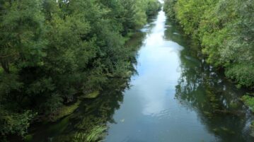 Forêt d'Eu : la perle verte de la Normandie qui éclipse toutes les autres