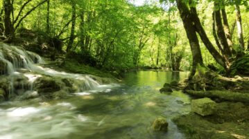 Les cascades des Tufs à Baume-les-Messieurs : un joyau naturel et historique