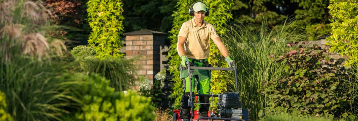 Pelouse d'été : les secrets d'un gazon éclatant malgré la chaleur