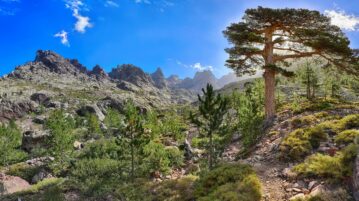 Top 10 des randonnées à couper le souffle en Corse : entre mer et montagne