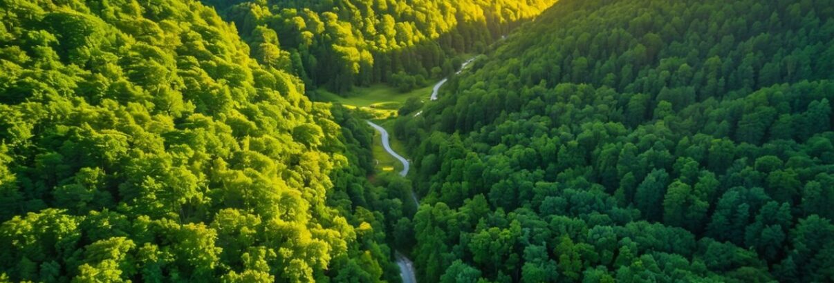 Vol au-dessus du Val des Choues : une expérience unique au cœur du Parc National de Forêts