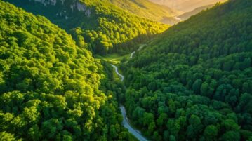 Vol au-dessus du Val des Choues : une expérience unique au cœur du Parc National de Forêts