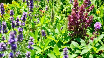 Découvrez ces plantes ultra efficaces qui repoussent les limaces en un rien de temps !