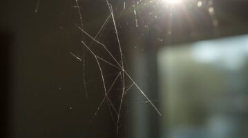 Dites adieu aux rayures sur le verre avec ces 4 ingrédients que vous avez déjà chez vous !