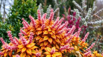 5 arbustes magiques pour un jardin d'hiver spectaculaire : plantez-les maintenant !