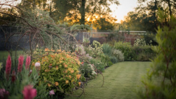 Ronces envahissantes du voisin : solutions concrètes pour protéger votre jardin