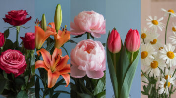 Test de personnalité : Ce que votre fleur préférée révèle vraiment sur vous !