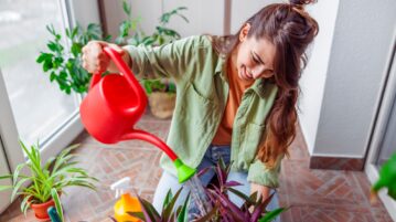 Cette eau que vous jetez chaque jour est en réalité un engrais naturel puissant pour vos plantes