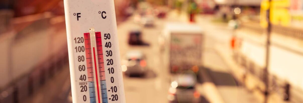 canicule