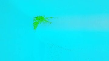 algue moutarde piscine