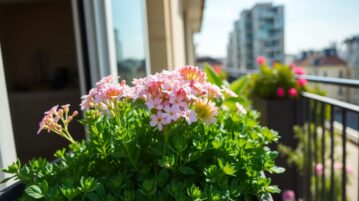 L'armeria maritima : la fleur miracle qui transforme vos balcons exposés
