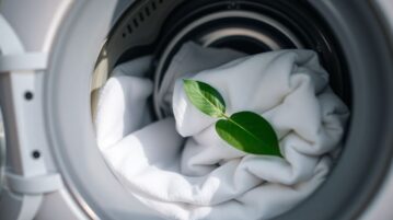 La feuille de laurier dans la machine à laver : l'astuce naturelle qui révolutionne l'entretien du linge