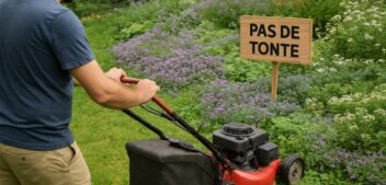 Vous détestez tondre ? Voici les 7 plantes qui remplacent le gazon sans vous compliquer la vie
