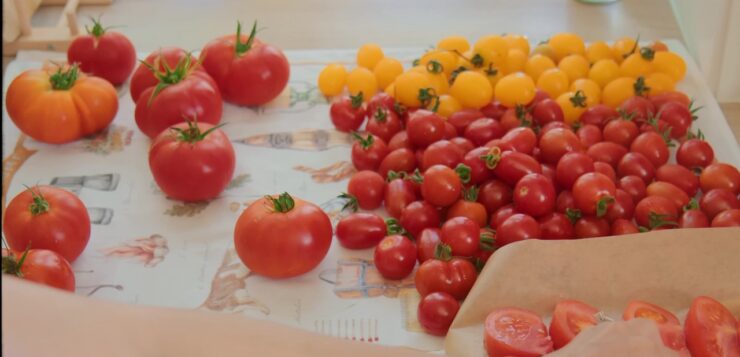7 idées anti-gaspi pour sauver vos tomates du jardin avant qu’elles ne finissent trop mûres